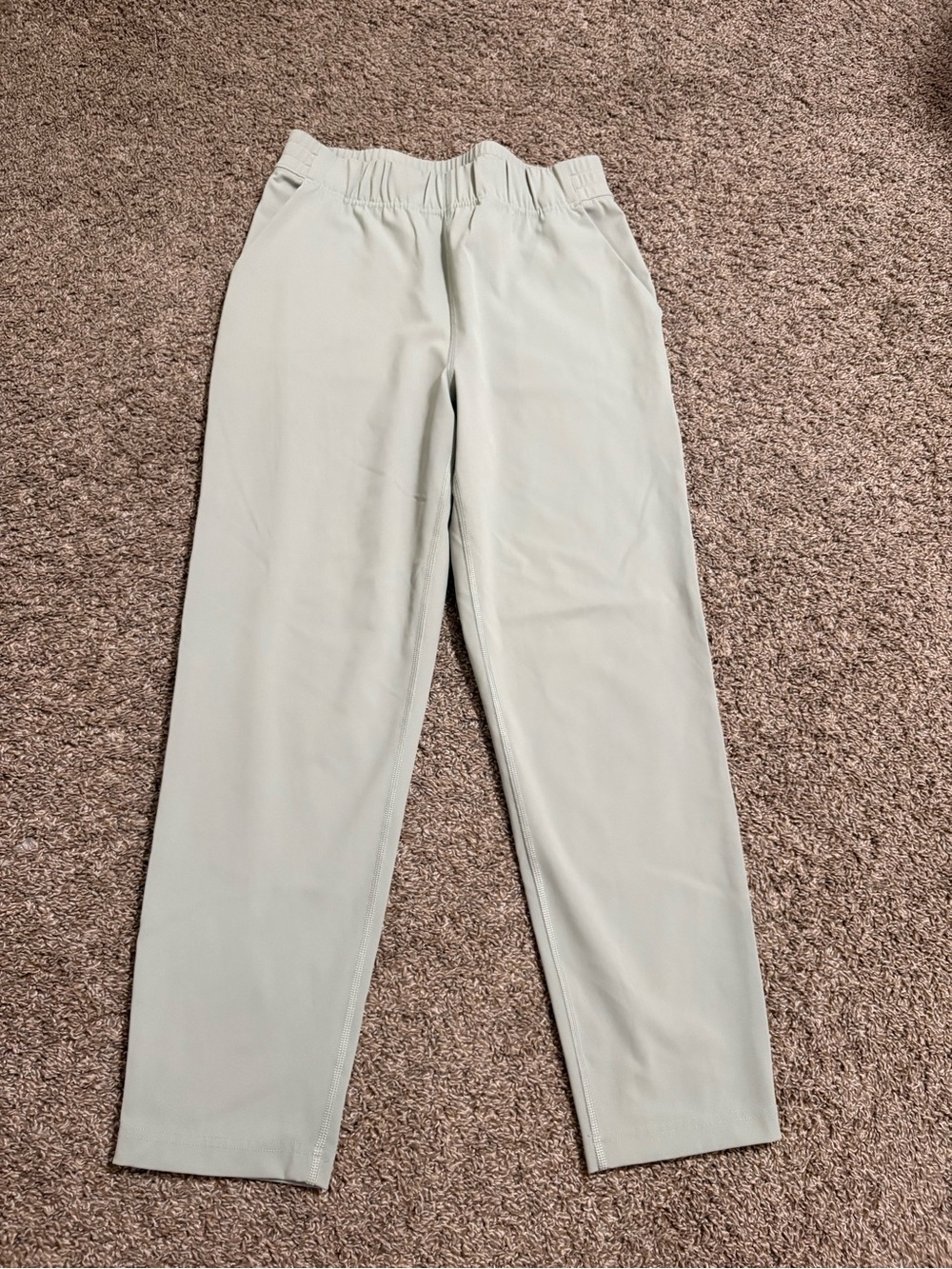 Aritzia Babaton Weekender Pant size M